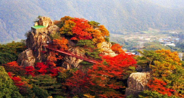 대둔산 등산코스