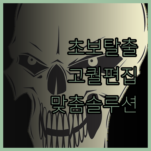 초보 유튜버를 위한 맞춤 솔루션! 퀄