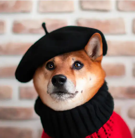 oenai-sora-dog