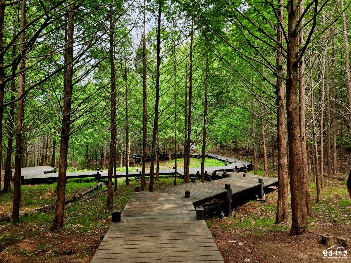 서울대공원 산림욕장길