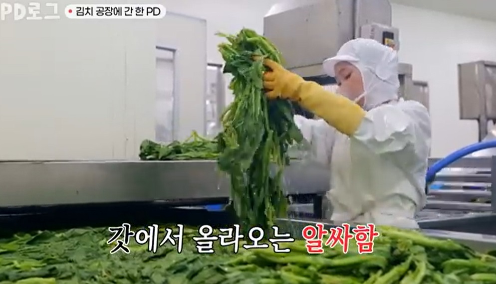 극한직업-여름김치-갓김치