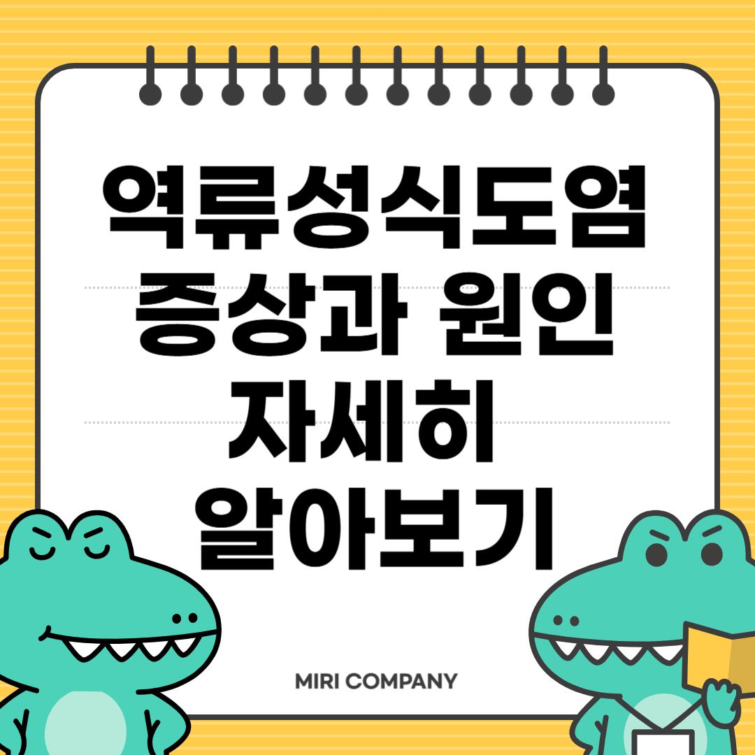 역류성식도염 증상