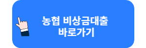 NH콕 비상금대출