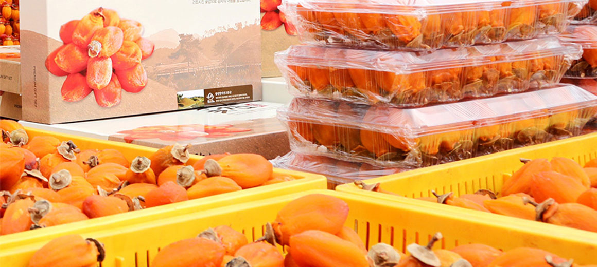 제 13회 함안 곶감 축제 기본일정과 프로그램 소개