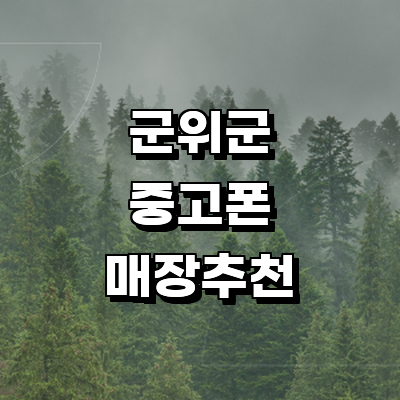 대구 군위군 중고폰