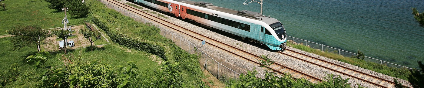 동해 산타열차 예매 방법