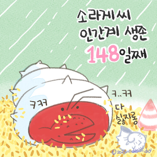 소라게씨 인간계 생존 148일 째 그림