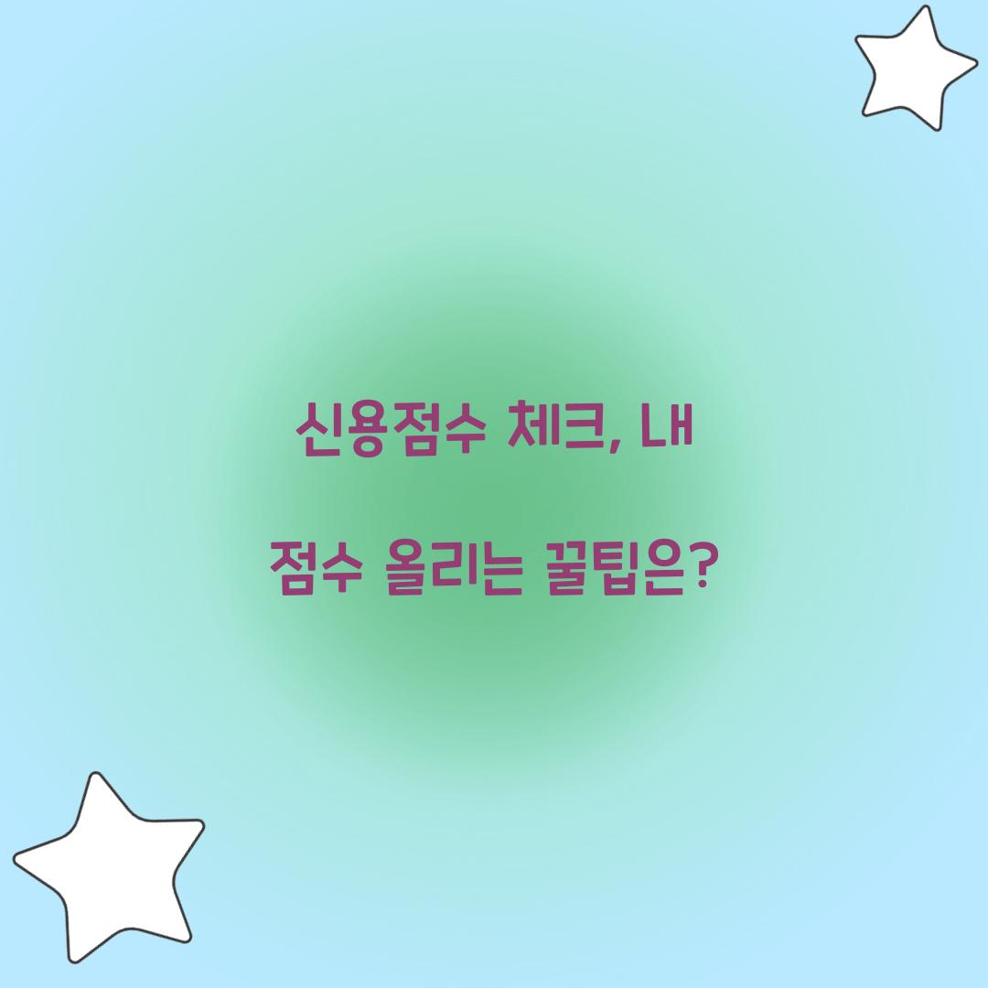신용점수 체크