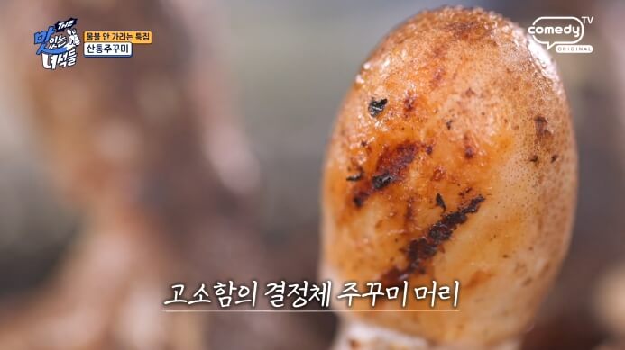 쭈꾸미머리