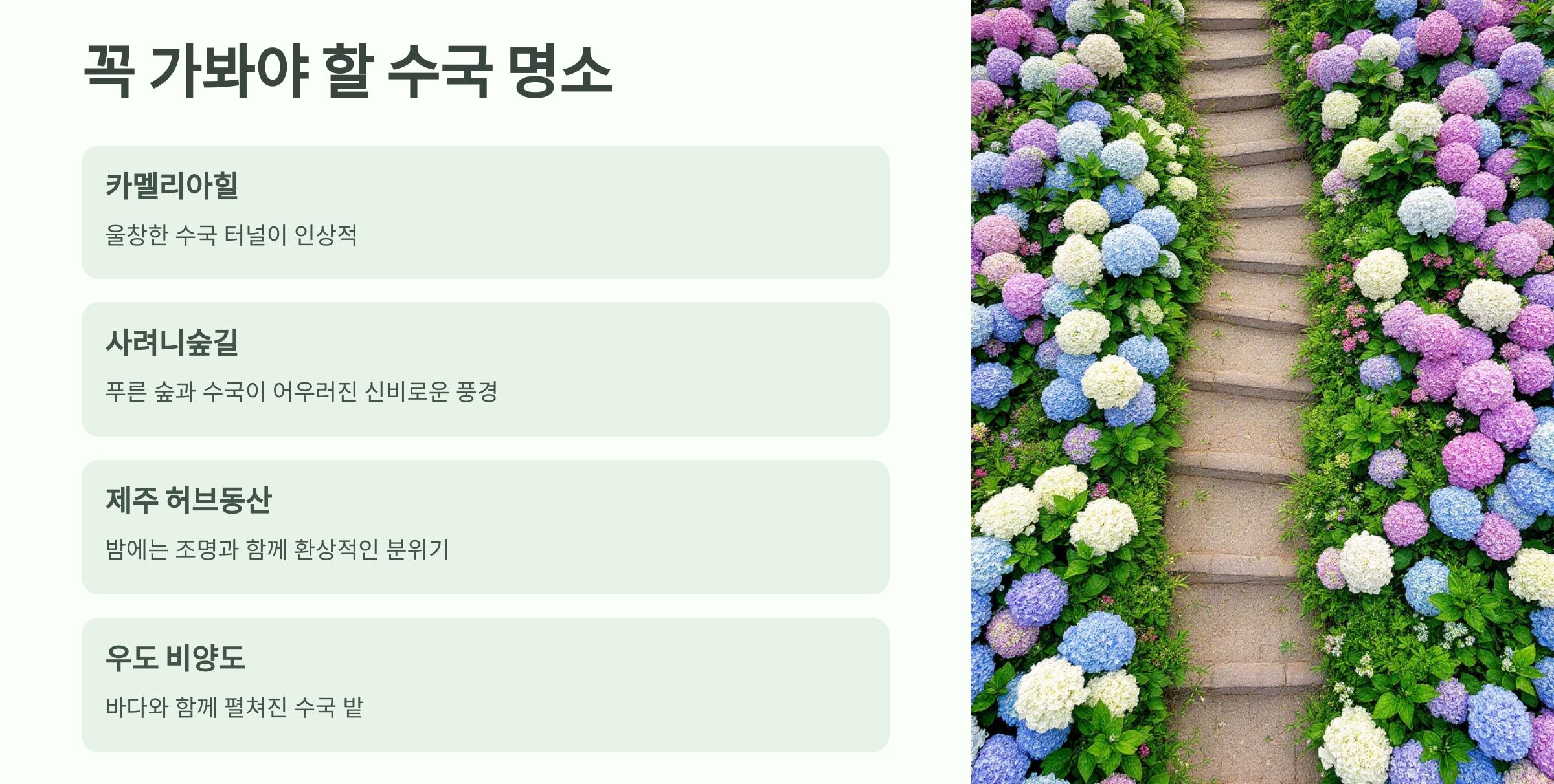 수국명소