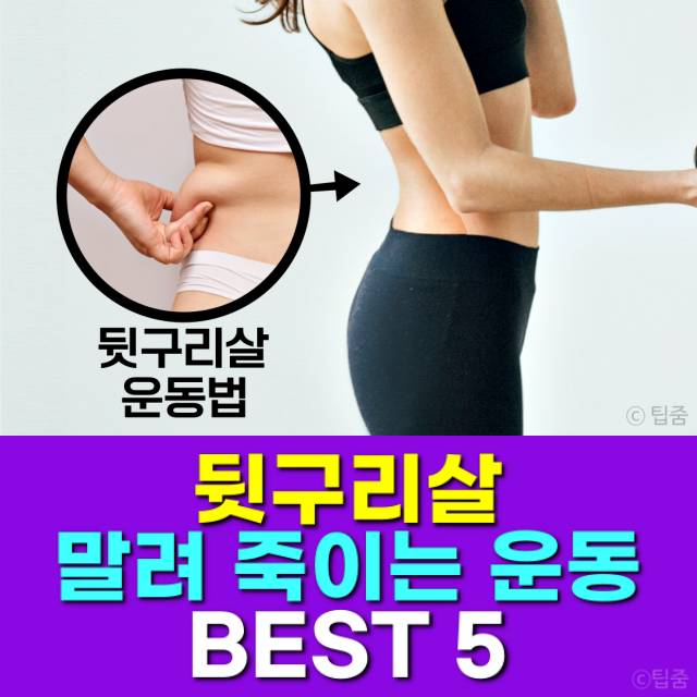 뒷구리살빼기 운동,다이어트 팁,팁줌