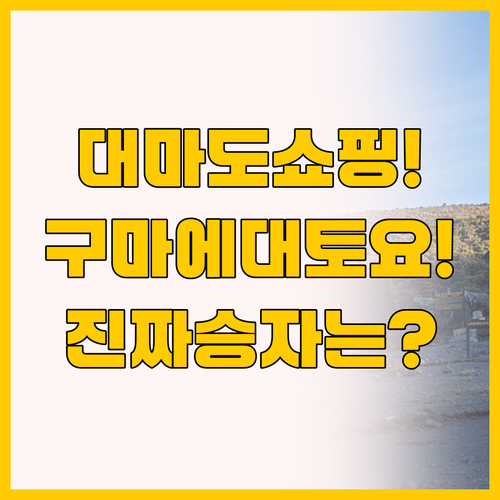 대마도 쇼핑 끝판왕 두 숙소 직접 비..