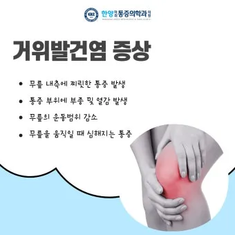 거위발 건염 원인과 증상 무릎 안쪽 통증 치료법 정리_11