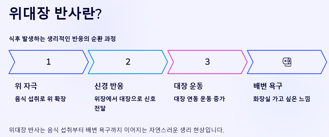 위대장 반사란?