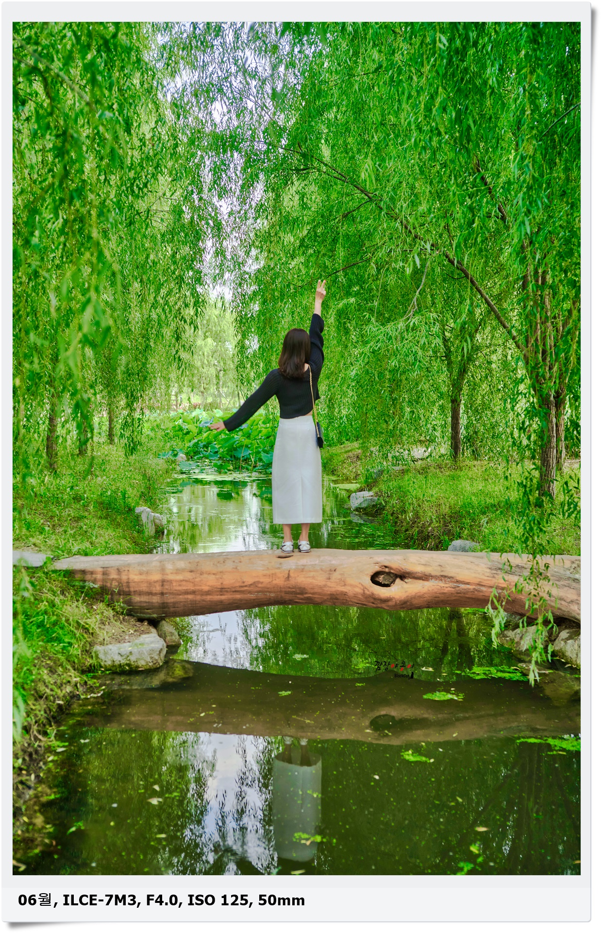 연암정원 통나무다리 포토존