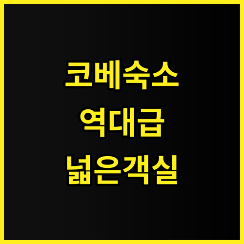 다이와로이넷호텔 코베 산노미야 프리미..