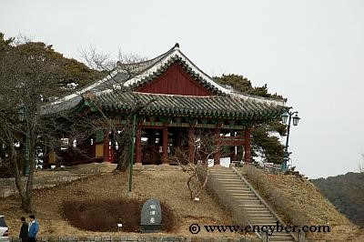 2025 강릉 경포 벚꽃축제