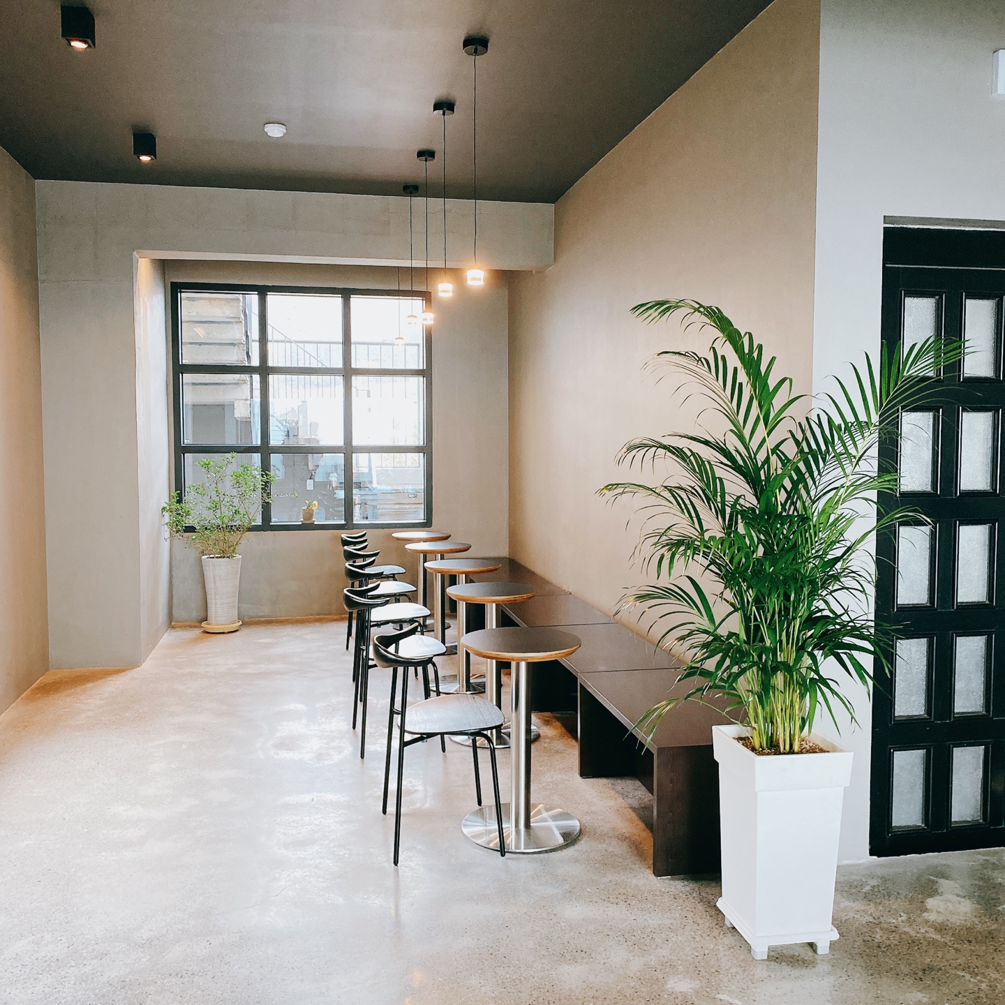 제주 신비마을 도깨비도로 벚꽃명소 레크레 카페