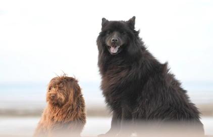 영양제 복용 시 주의사항 관련 사진