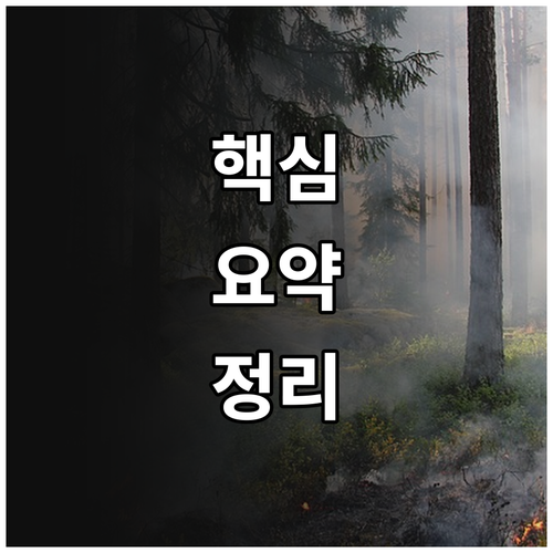 2025 동두천 여성장애인 출산지원금..