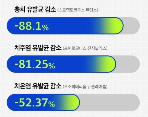 치탄플러스 효과