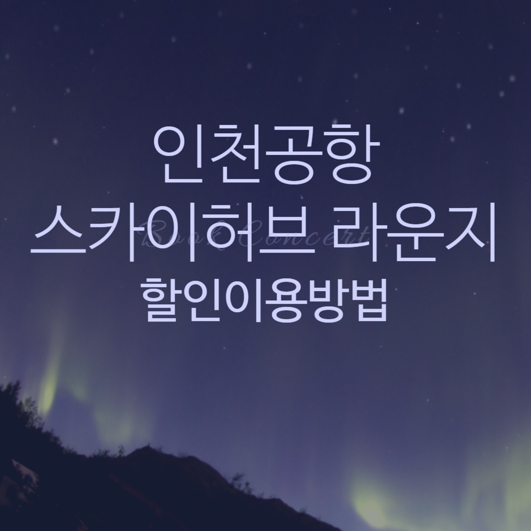 인천공항 스카이허브라운지