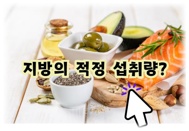 지방의 적정 섭취량은?