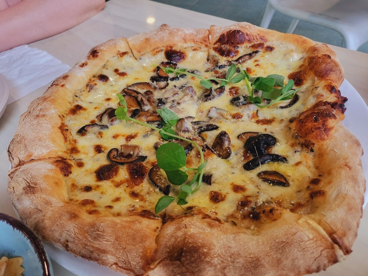 코타키나발루 선셋 시간 탄중아루 비치 선셋바 추천 징선셋바 Zing Sunset Bar 예약 메뉴 후기