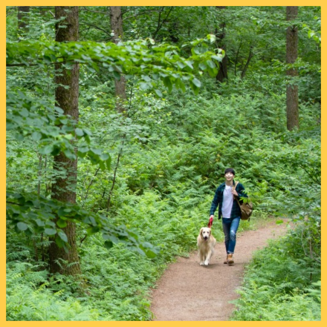 무릎관절에좋은운동