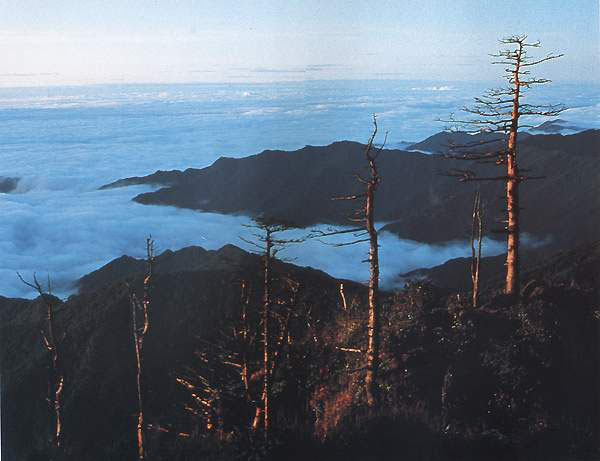 지리산 대표경관