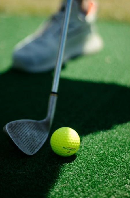 2025 프리미엄 골프장 입회비 비교 및 분석