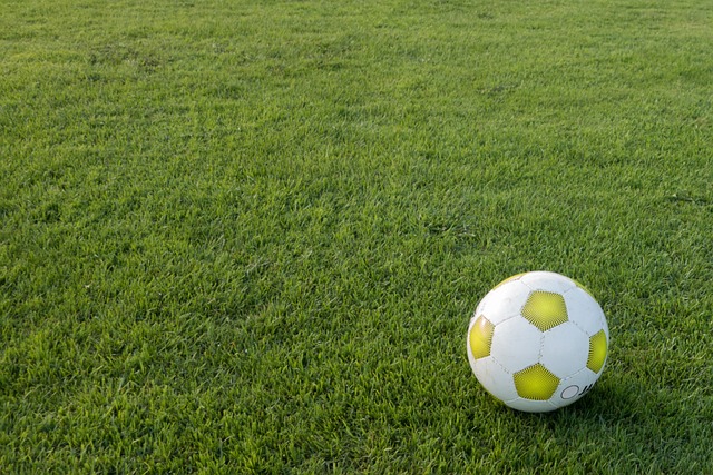 축구경기장에 축구공 사진