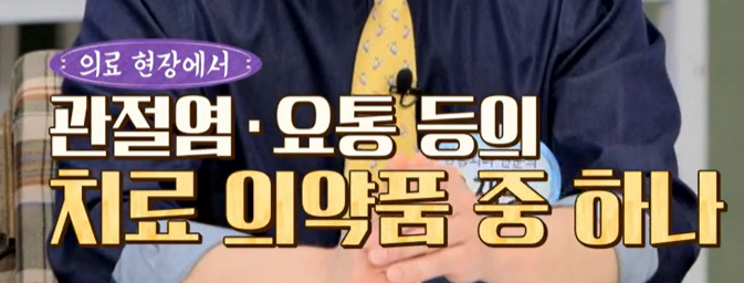 콘드로이친 효능