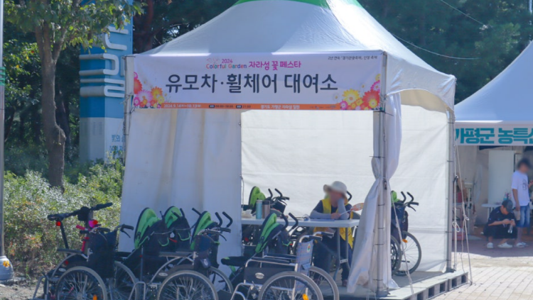 자라섬 꽃 페스타