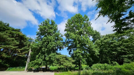 당진 신암사 : 보물 금동여래좌상과 고려의 숨결을 찾아서