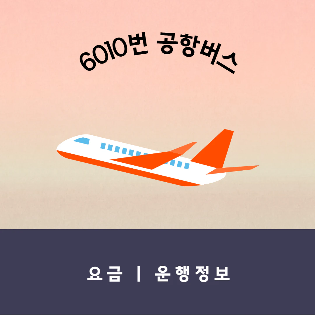 6010 공항버스