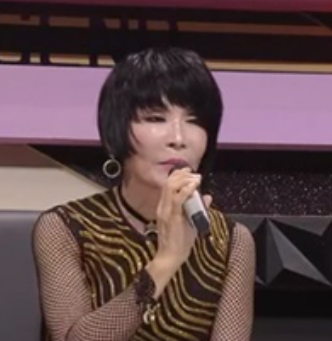 윤시내 프로필