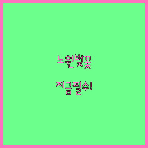 노원구 벚꽃 구경하기 좋은 날짜와 지..