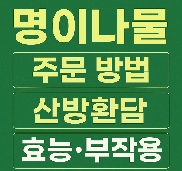 생방송투데이 이 주의 장바구니 화천 산나물 숲 산방환담 명이나물 주문 방법 및 효능 명이나물장아찌레시피