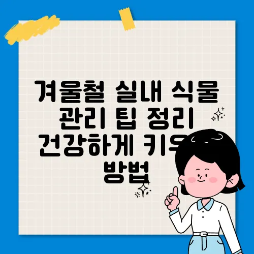 겨울철 실내 식물 관리 팁 정리 건강하게 키우는 방법