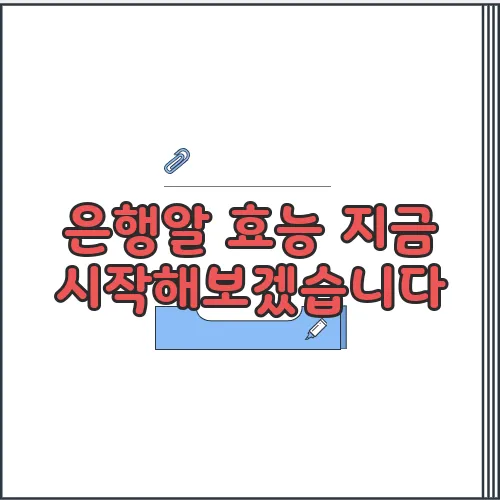 은행알 효능 지금 시작해보겠습니다