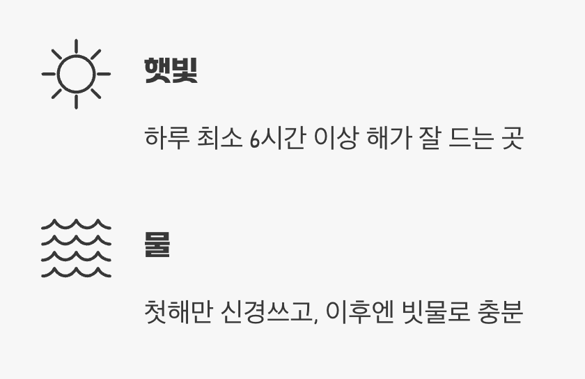 햇빛과 물, 이것만 기억하세요