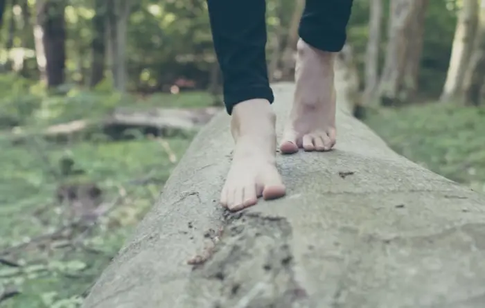 파상풍 주사 가격