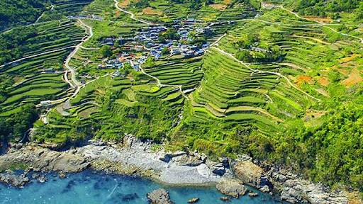 2025년 4월 국내 여행지 추천! 봄꽃과 함께 떠나는 최고의 여행지