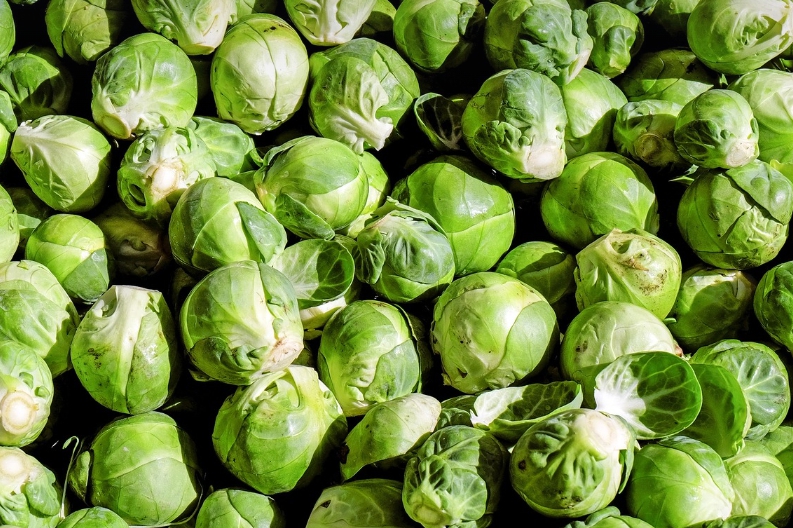 브로콜리 양배추 아보카도의 건강 효능