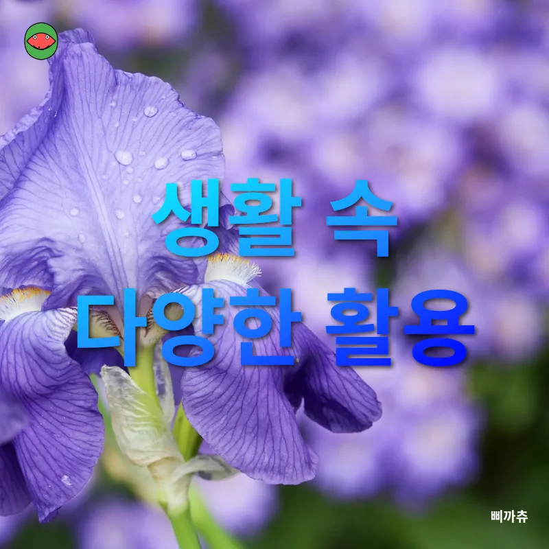 홍채인식_2