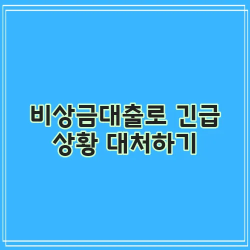 비상금대출로 긴급 상황 대처하기