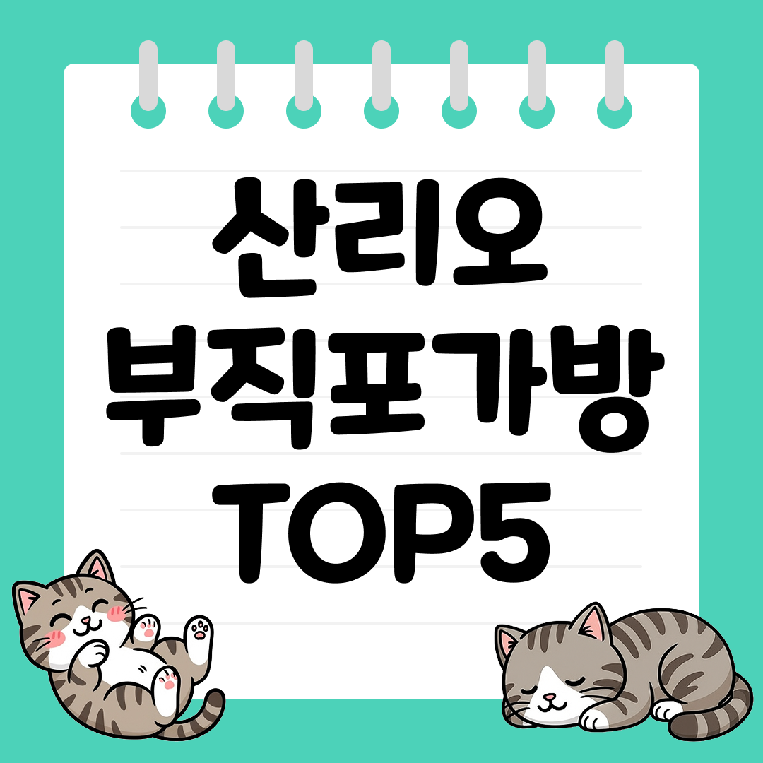 가볍고 튼튼한 일상 필수템, 산리오 부직포가방 추천 순위 TOP5