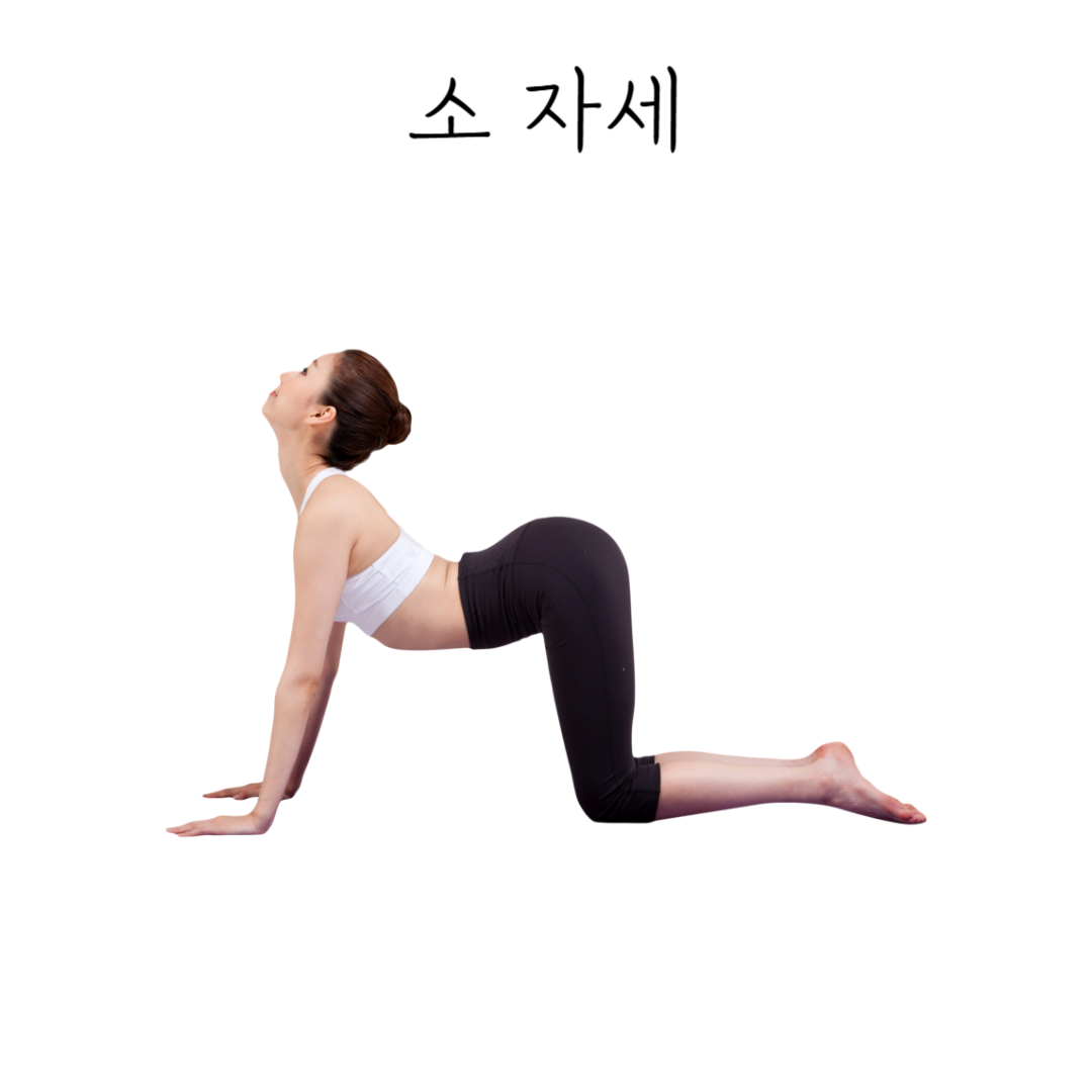 허리통증