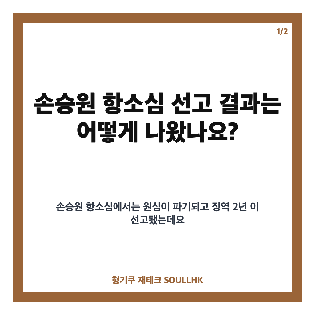 손승원 항소심 선고 결과, 징역 2년으로 늘어난 이유 정리 카드뉴스 1